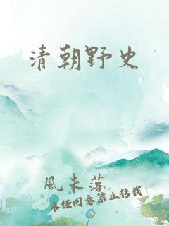清朝野史