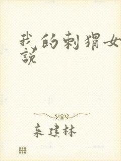 我的刺猬女孩小说