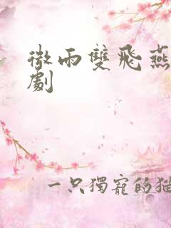 微雨双飞燕电视剧