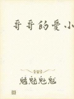 哥哥的爱小说