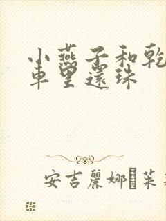 小燕子和乾隆在车里还珠