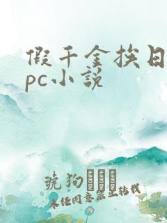 假千金挨日记npc小说