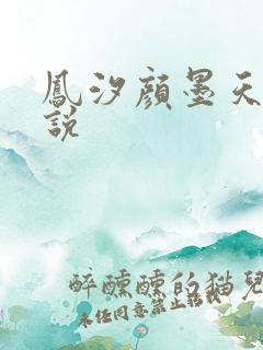 凤汐颜墨天问小说