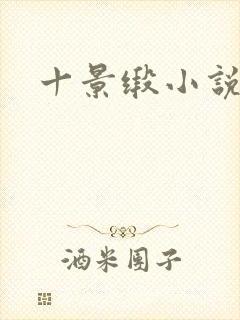 十景缎小说
