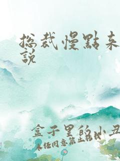 总裁慢点来 小说