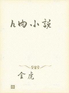 h肉小说