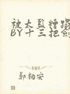 被太监糟蹋之后BY十三把剑