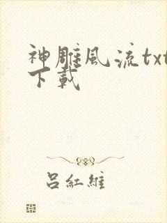 神雕风流txt下载