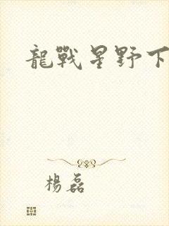 龙战星野下载