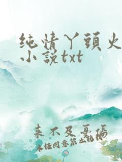 纯情丫头火辣辣小说txt