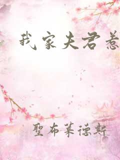 我家夫君惹不起