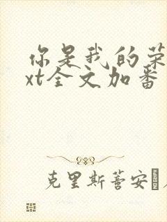 你是我的荣耀txt全文加番外