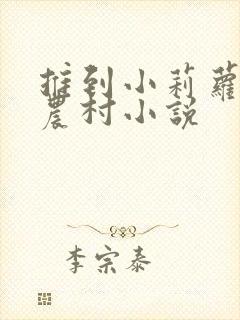 推到小莉萝稚嫩农村小说