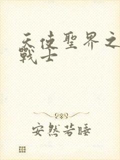 天使圣界之神之战士