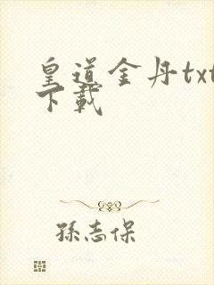 皇道金丹txt下载