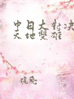 中日大对决  天地双雄