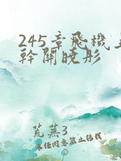 245章飞机上干关晓彤