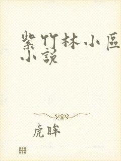 紫竹林小区快递小说