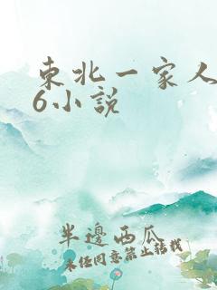 东北一家人1一6小说