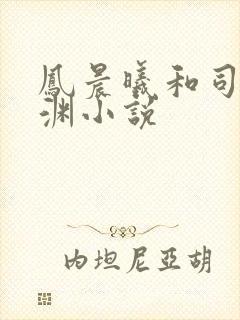 凤晨曦和司鸿颜渊小说