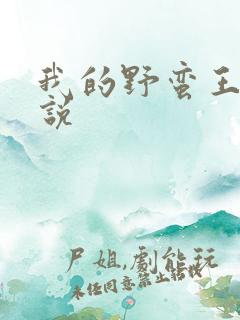 我的野蛮王妃小说