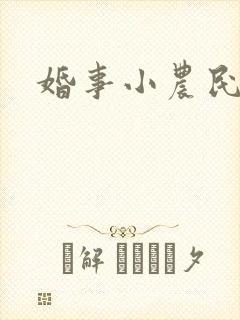 婚事小农民