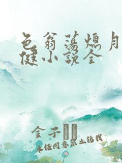 色翁荡熄月月健健小说全