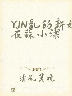 YIN乱的新婚夜苏小洁