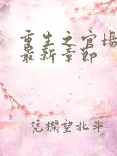 重生之官场风流最新章节