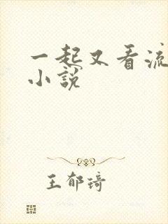 一起又看流星雨小说