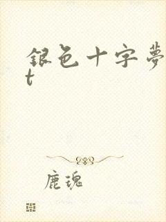 银色十字梦txt