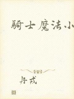 骑士魔法小说