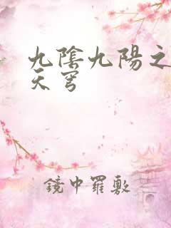 九阴九阳之武战天穹
