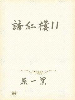 诱红楼11