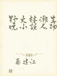 野火林潮生林晚晚小说人物野火