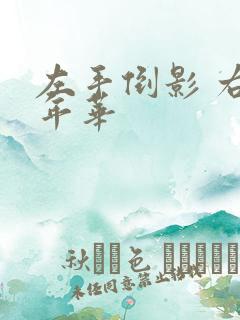 左手倒影 右手年华