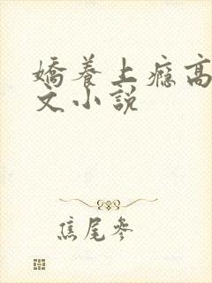 娇养上瘾高H爽文小说