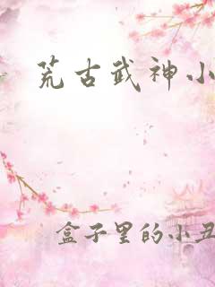 荒古武神小说