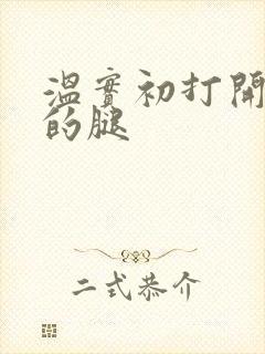 温实初打开眉庄的腿