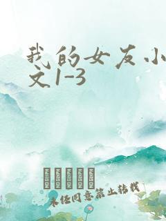 我的女友小洁全文1-3