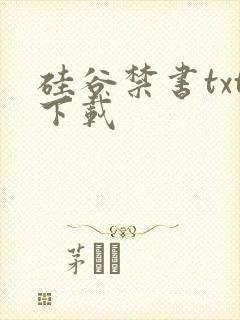 硅谷禁书txt下载