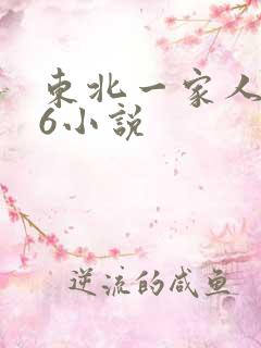 东北一家人1一6小说