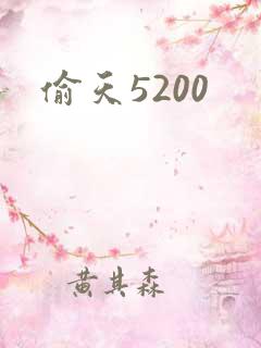 偷天5200