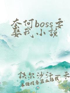 奈何boss要娶我小说