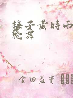 梅子黄时雨流光飞舞