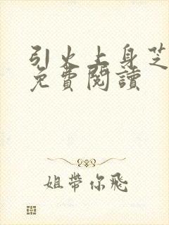 引火上身芝麻糖免费阅读