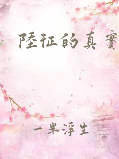 陆征的真实身份