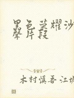 黑色荣耀沙发原声片段