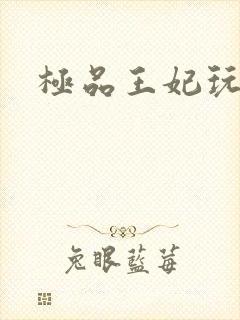 极品王妃玩古代