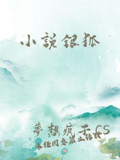 小说银狐